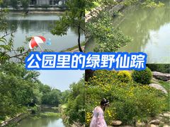 -羊山湖公园