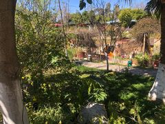 -映月潭温泉