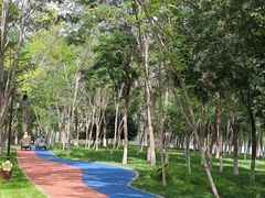 -香山公园