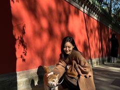 -北京国子监胡同