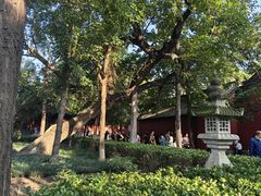-洛阳白马寺
