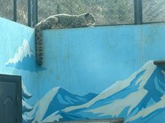 -青藏高原野生动物园