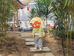 -南和农业嘉年华