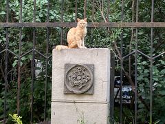 -拾螺记螺蛳粉