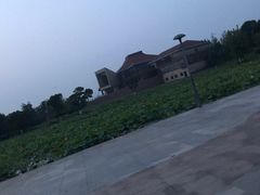 -滆湖低碳生态公园