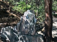 -燕塞湖鸟语林景区