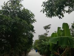 -新塘水果乐园(东洲大道店)