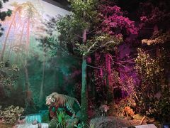 -武汉园博园(武汉自然博物馆)