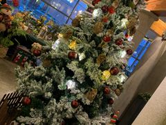 -LYFATTI 莱芙缇(赣水路店)