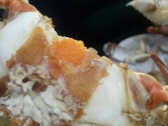 -海帮主·蒸汽海鲜青岛菜(栈桥火车站店)