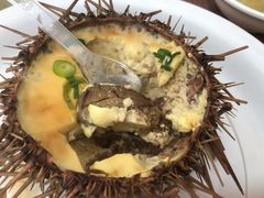 海胆蒸蛋-海胆小馆(春柳店)