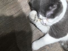-小时光咖啡馆(开森度假森林店)