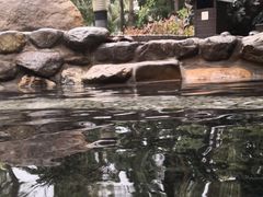 -厦门日月谷温泉渡假村