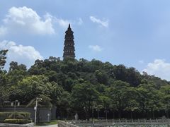 -顺峰山公园