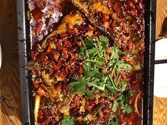 花椒乌江鱼-渝乡人家(和平里店)