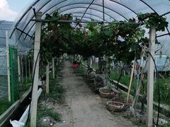 -美家乐农庄·露营·团建(大治路店)