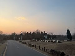 -盐城丹顶鹤湿地生态旅游区