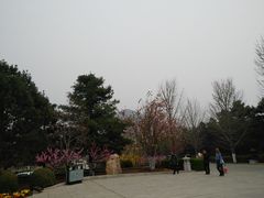 -万佛园景区