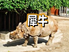 -上海野生动物园