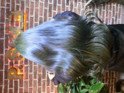 点击看大图 小p老师-pstyle造型(五道口梦想店)-P.STYLE 派斯造型