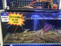 -开海·红岛海鲜虾水饺(石老人店)