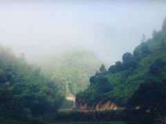 -楠溪江石桅岩
