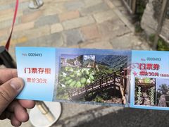 -大岭沟猕猴桃谷风景区
