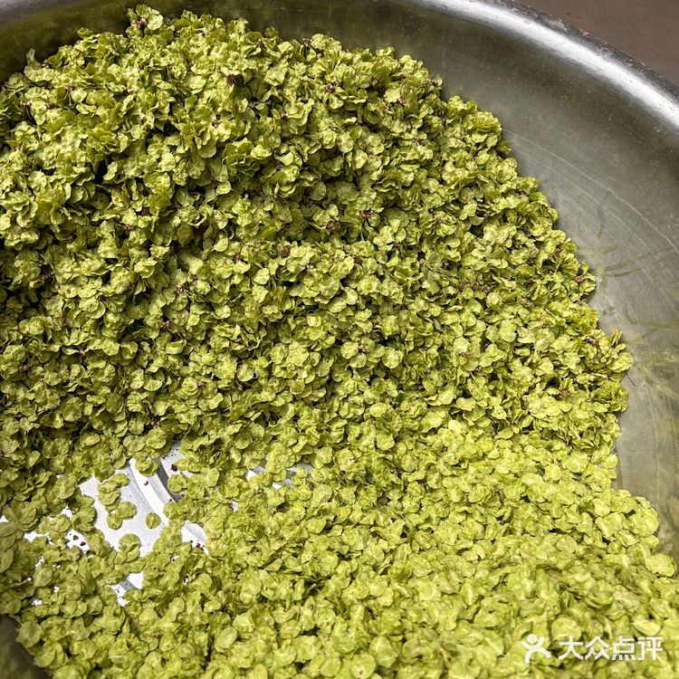 也是吃上了亲自做的榆钱馒头👍