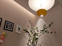 -Aqua Oasis 水天堂(太湖中心mall店)