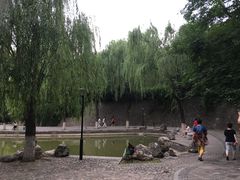 -西安市长乐公园