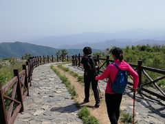 -阳台山自然风景区