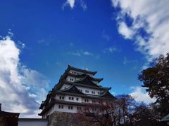 -名古屋城