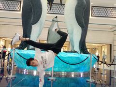 -帝企鹅自助餐厅•儿童岛•真企鹅(长隆企鹅酒店)