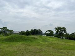 -盘龙城国家考古遗址公园