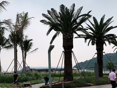 -大梅沙海滨公园