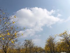 -田园寨农园观光园