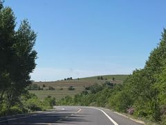 -大青山野生动物园