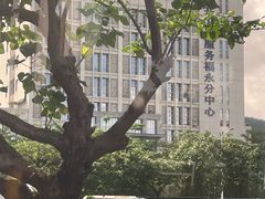 -立新湖公园