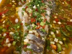 -飞虹鱼馆(春华路店)