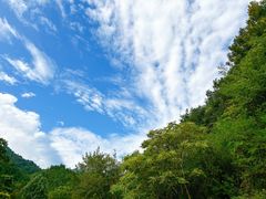 -素山寺森林公园