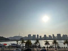 -野狸岛