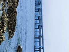-星海湾跨海大桥