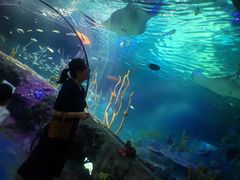 -沈阳海洋探索中心