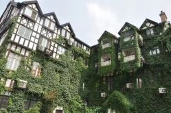 -新蝶变皮肤管理中心