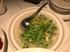 上汤豆苗-花椒笑成都小馆(百脑汇店)