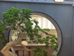 -高玛纳驴肉火烧(河间店)