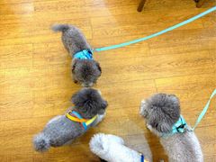 -观桥阁(锦溪店)