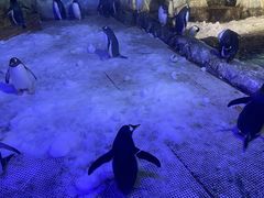 -成都浩海立方海洋公园