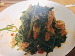 -毡房姑娘·新疆菜·烧烤