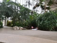 -中家鑫园温泉酒店鑫悦汤泉